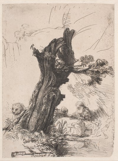 切り株の柳のそばに立つ聖ヒエロニムス 作： Rembrandt van Rijn