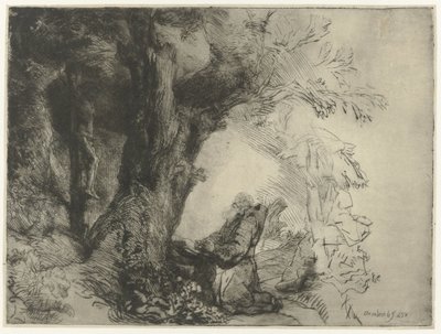 木の下で祈る聖フランチェスコ 木の下で祈る聖フランチェスコ 作： Rembrandt van Rijn