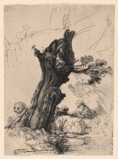 ポラード柳のそばの聖ヒエロニムス 作： Rembrandt van Rijn