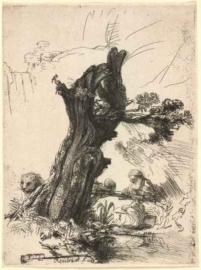 ポラード柳のそばの聖ヒエロニムス 作： Rembrandt van Rijn