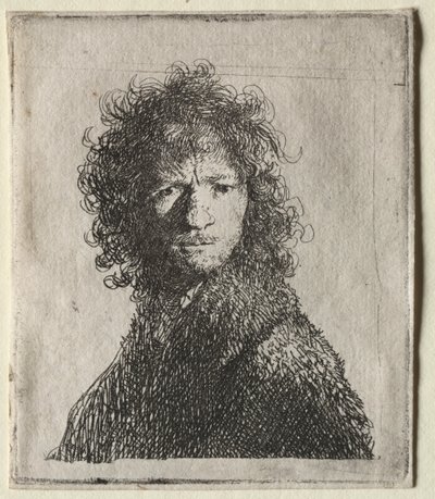 自画像のしかめっ面：バスト、1630年。 作： Rembrandt van Rijn