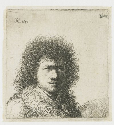 ふさふさした髪の自画像：バスト 作： Rembrandt van Rijn