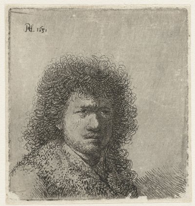 ふさふさした髪の自画像：バスト 作： Rembrandt van Rijn