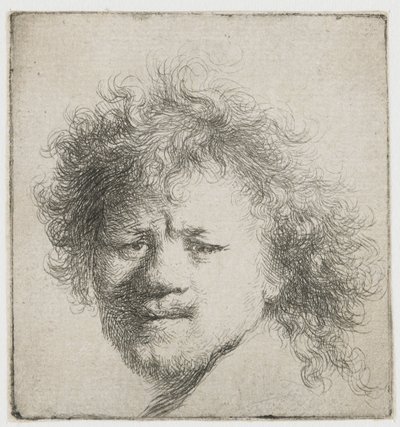 ふさふさした長い髪の自画像：頭のみ 作： Rembrandt van Rijn