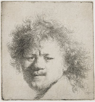 ふさふさした長い髪の自画像：頭のみ、1631年頃。 作： Rembrandt van Rijn
