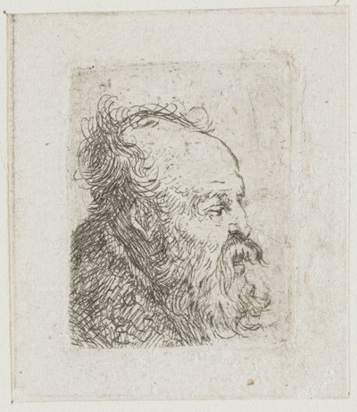  作： Rembrandt van Rijn