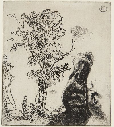 2点の習作が収められた一枚の画紙：『木』と『ベルベットの帽子をかぶった自画像の上半身』 作： Rembrandt van Rijn