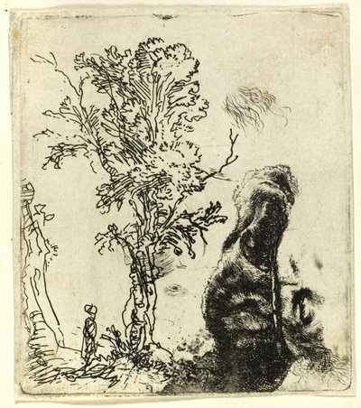 2 つの習作のあるシート: 木と、ベルベットの帽子をかぶった芸術家の頭の上部 作： Rembrandt van Rijn