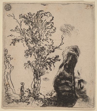 2つの習作が描かれた下絵：木、およびベルベットの帽子をかぶった画家の頭部の上半身 作： Rembrandt van Rijn