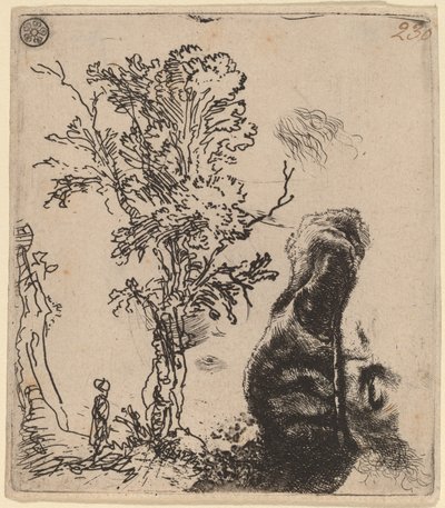 2 つの習作のあるシート: 木と、ベルベットの帽子をかぶった芸術家の頭の上部 作： Rembrandt van Rijn