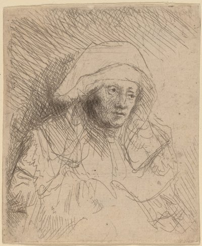 大きな白い頭飾りをつけた病気の女性サスキア、c。 16411642。 作： Rembrandt van Rijn