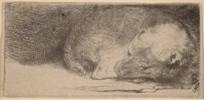  作： Rembrandt van Rijn