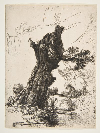 ポラード柳のそばの聖ジェローム、1648年。 作： Rembrandt van Rijn