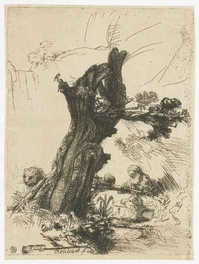 ポラード柳のそばの聖ジェローム 作： Rembrandt van Rijn