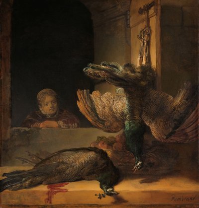 孔雀のある静物 死んだ孔雀のある静物 作： Rembrandt van Rijn