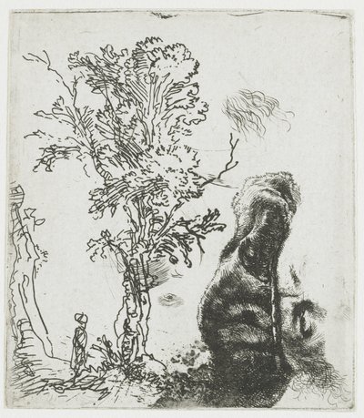  作： Rembrandt van Rijn