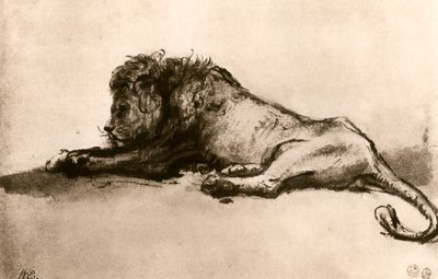 ライオンの研究、1913年。 作： Rembrandt van Rijn
