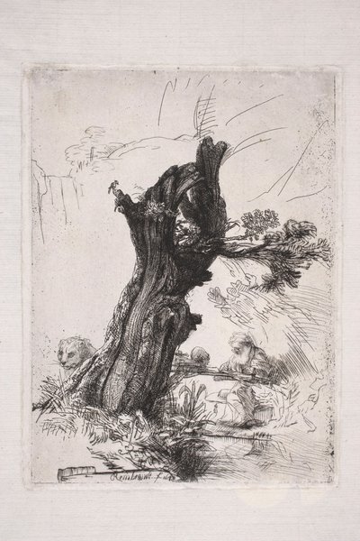柳の木の幹のそばで執筆する聖ヒエロニムス 作： Rembrandt van Rijn