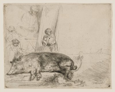 ザ・ホッグ 作： Rembrandt van Rijn