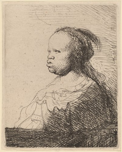 白いネグレス 作： Rembrandt van Rijn