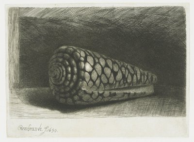 シェル 作： Rembrandt van Rijn