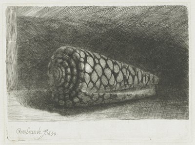 シェル 作： Rembrandt van Rijn