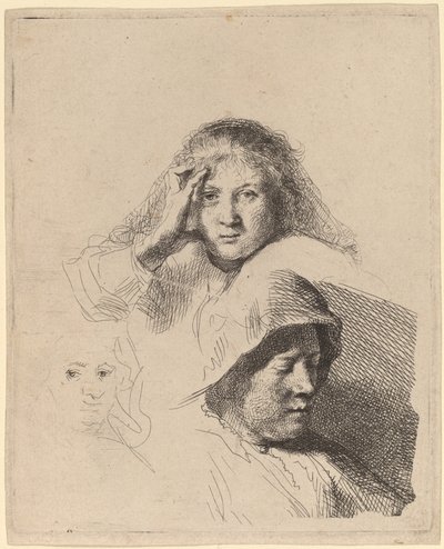 女性の 3 つの頭、1 つは軽くエッチング 作： Rembrandt van Rijn