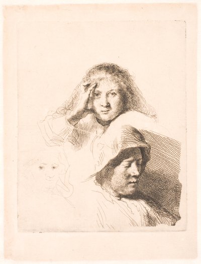 3 つの女性の頭部、1 つは軽くエッチングされています 作： Rembrandt van Rijn
