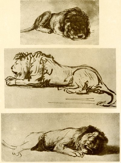 3つのライオンの研究 作： Rembrandt van Rijn
