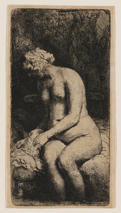  作： Rembrandt van Rijn