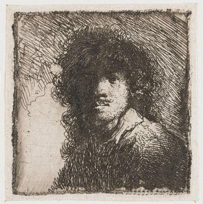  作： Rembrandt van Rijn