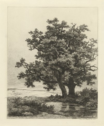 湖の 2 つのオーク 作： Remigius Adrianus Haanen