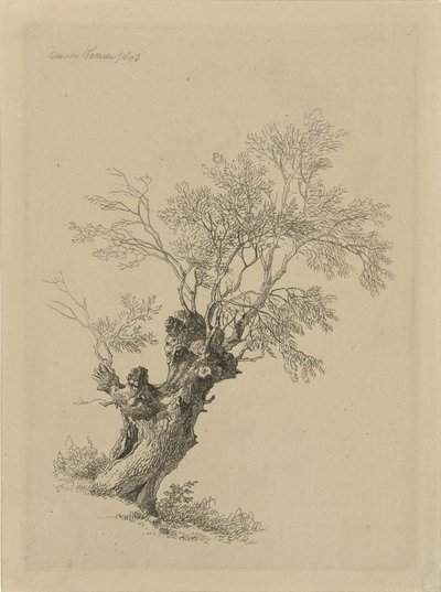 柳の木 作： Remigius Adrianus Haanen