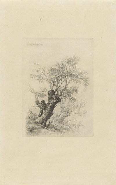 柳の木 作： Remigius Adrianus Haanen