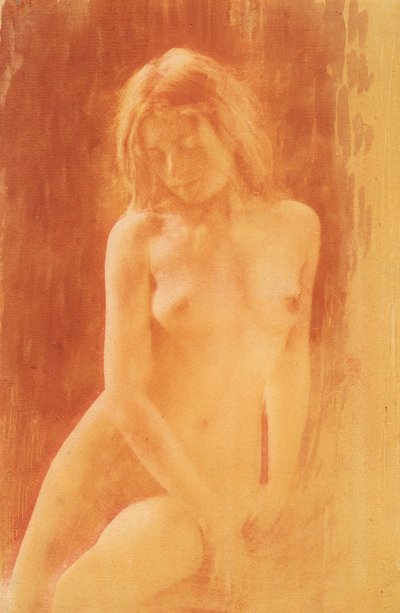 [オレンジの研究]、1904年。 作： René Le Bègue