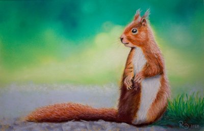 リス 作： Renate Dohr