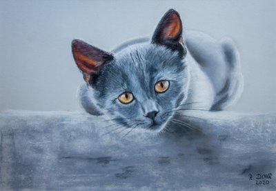 灰色の猫 作： Renate Dohr