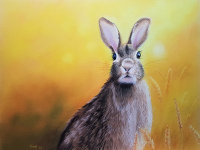 面倒 作： Renate Dohr