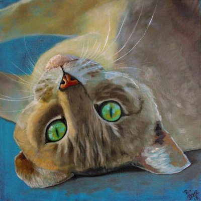 猫の運 作： Renate Dohr