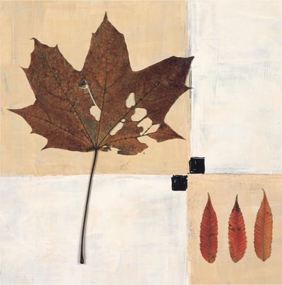 「秋の葉の静物画」 作： Renate Holzner
