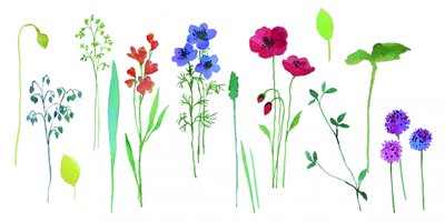 色鮮やかな水彩の花々 作： 