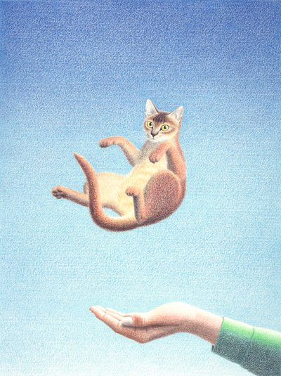 キャッチ 作： Rene Boin