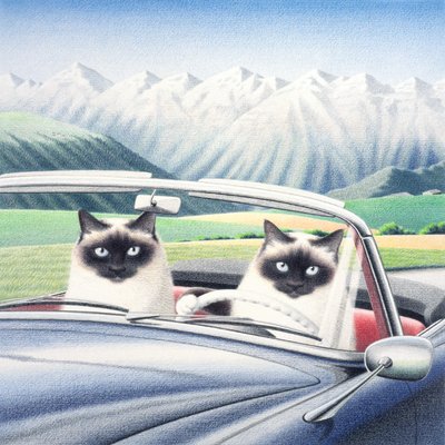 ドライブ 作： Rene Boin