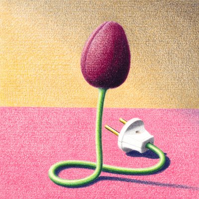 エレクトリック・チューリップ 作： Rene Boin