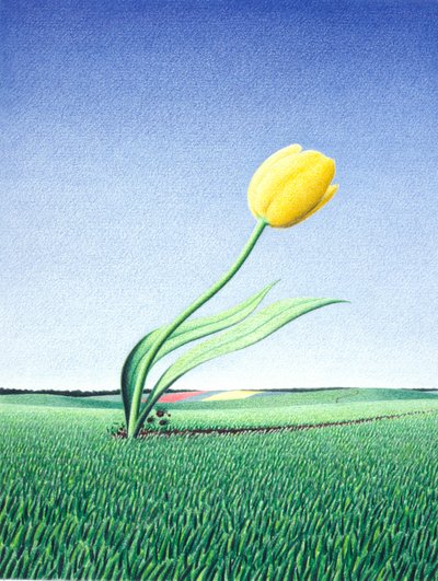 高速チューリップ 作： Rene Boin