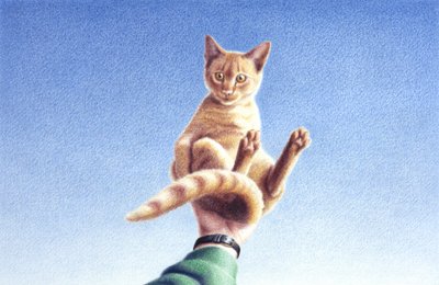 ハンドフル 作： Rene Boin