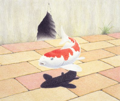 鯉 作： Rene Boin