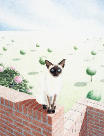 サケ 作： Rene Boin