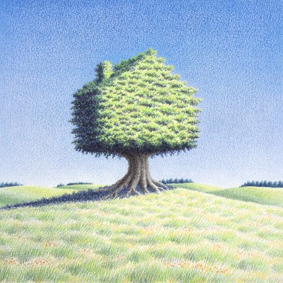 ツリーハウス 作： Rene Boin