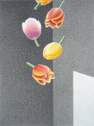 チューリップ 作： Rene Boin